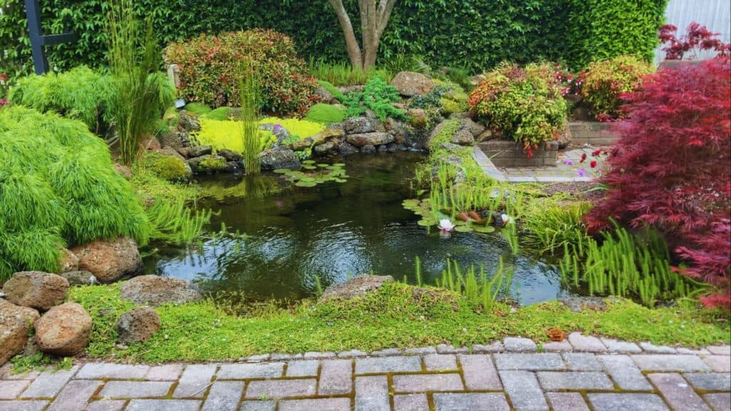 Pond builder finder About